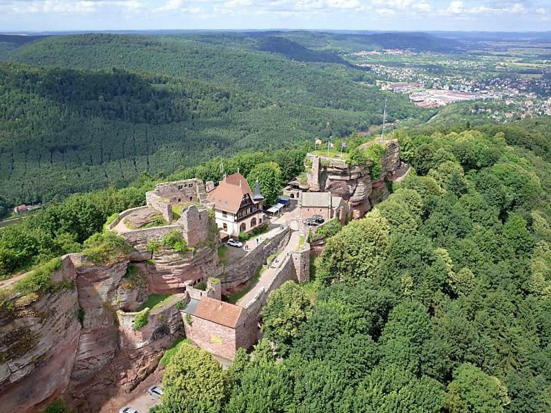 Le Bonheur Est Parfois Cache Dans L'Inconnu Leilighet Sélestat Eksteriør bilde